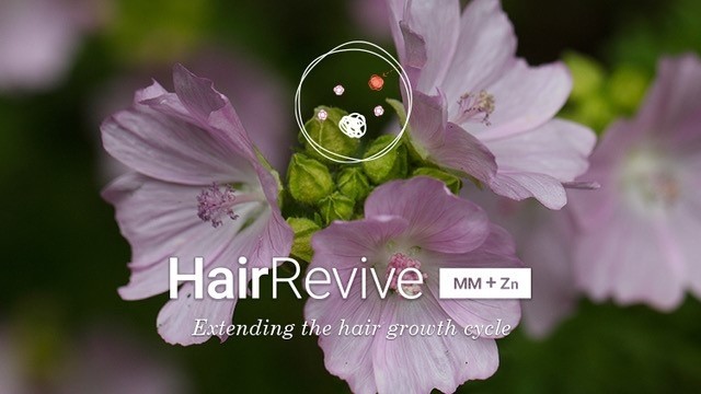HairRevive [MM+Zn] plant shell, to rejuvenate the hair and scalp